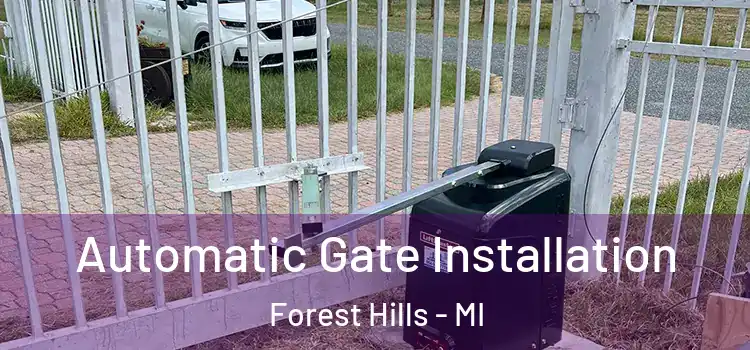 Automatic Gate Installation Forest Hills - MI