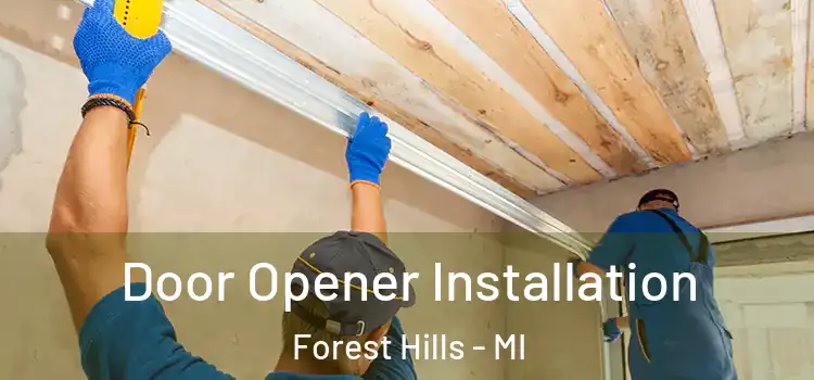  Door Opener Installation Forest Hills - MI