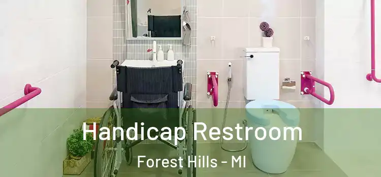  Handicap Restroom Forest Hills - MI