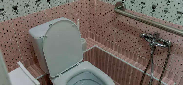 Meeting Diverse Needs With Accessible Restroom Solutions in Forest Hills, MI
