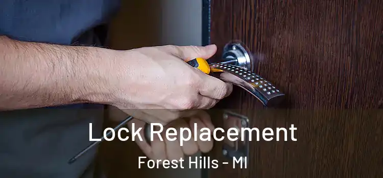Lock Replacement Forest Hills - MI